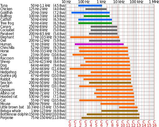 Frequency Response of natural things.jpg